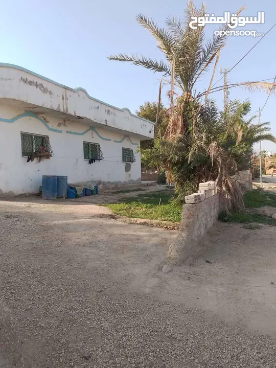 بيت للبيع في الغوار