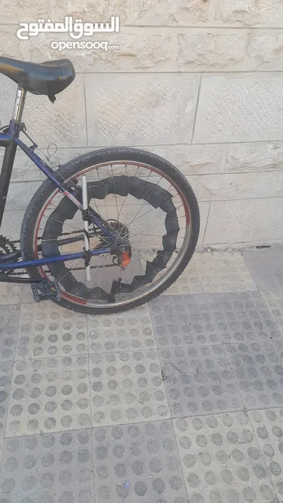 بسكليت للبيع بسعر طري