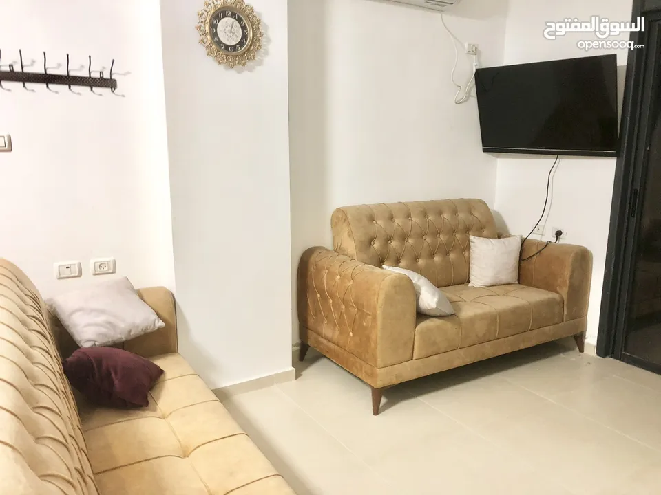 ستيديو للايجار  رووف