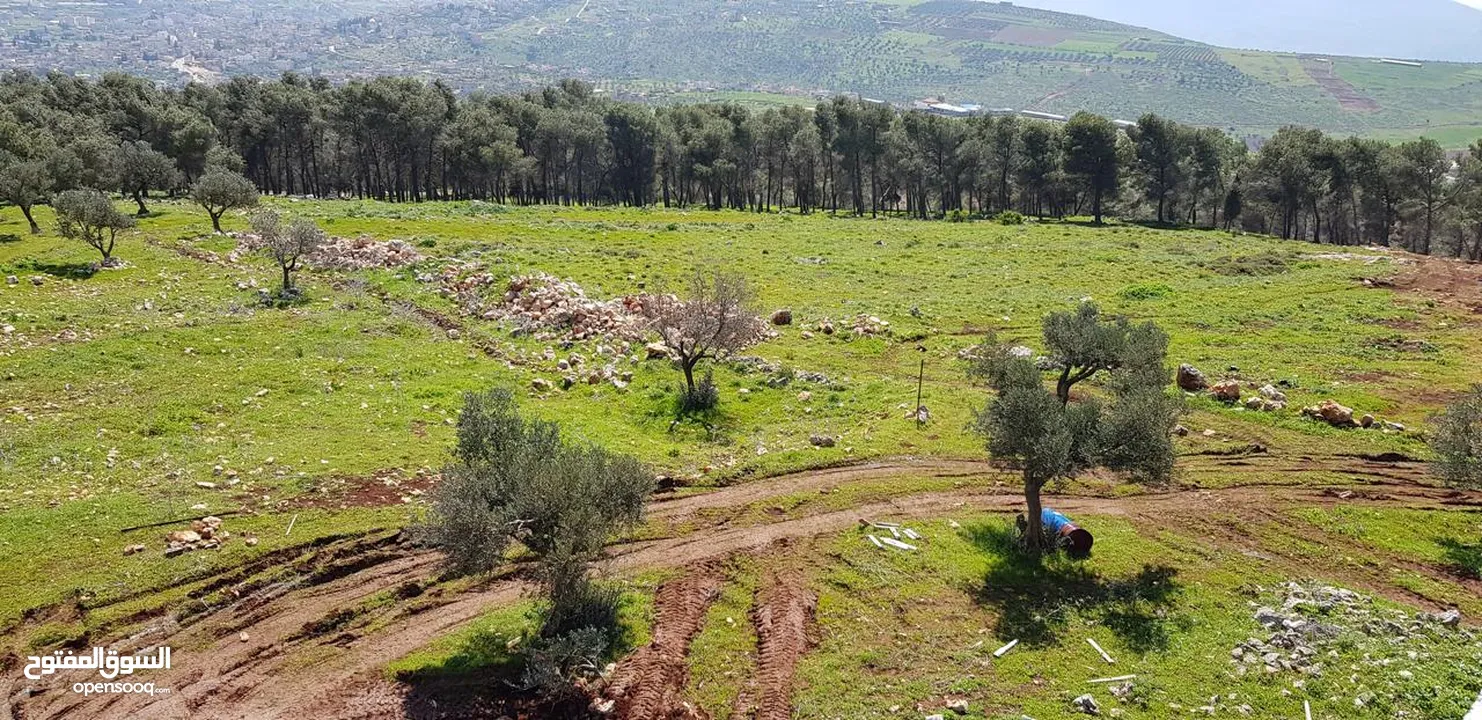 فيلا فاخرة على أرض 2000م تصنيف أ A, طابو – زاوية شارعين + مجلس ضيوف مستقل في طوباس