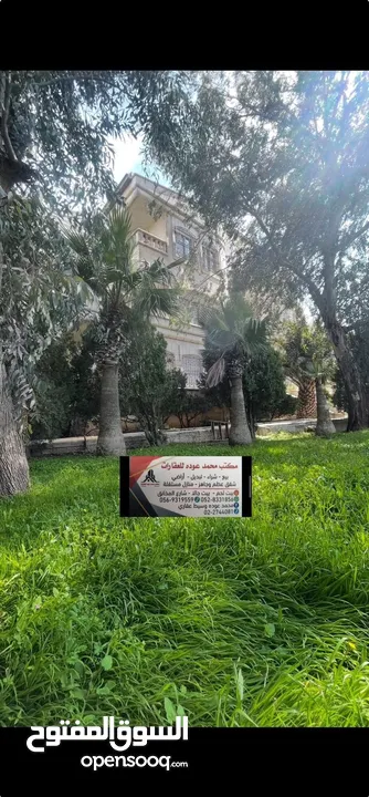 قصر  للبيع في اجمل مواقع راس بيت جالا