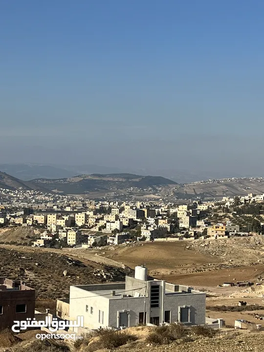 ارض مميزه بسعر مغري بجانب الجبيهه مباشرهضمن اراضي صافوط حوض ام مرهف الجنوبي وبسعر مغري جددا