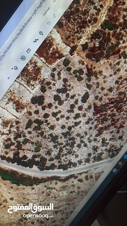 القبة الذهبية  شارع بلعا-دير الغصون