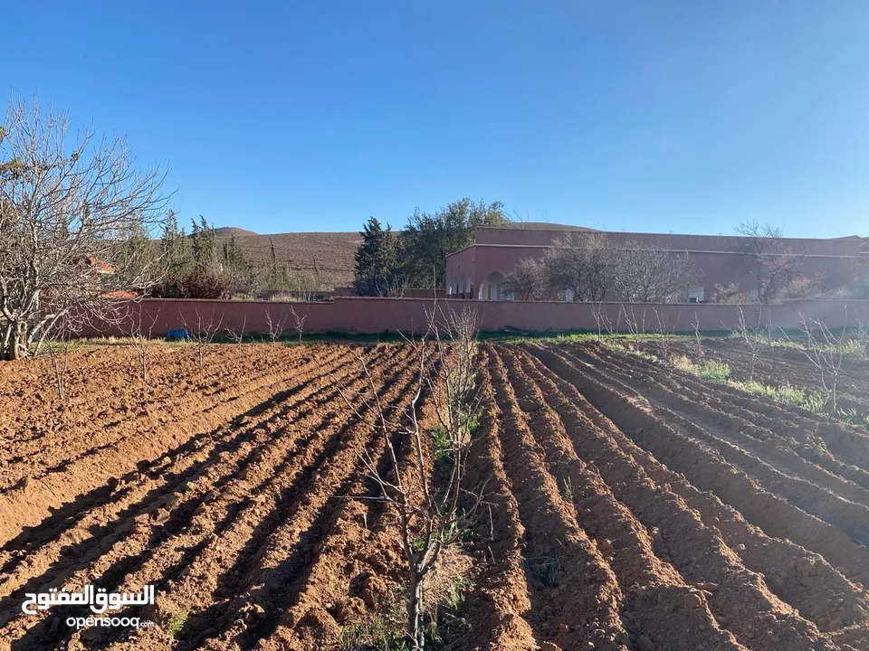 134-Hectare Farm for Sale in Morocco - مزرعة محفظة للبيع بمساحة 134 هكتار في منطقة ورزازات، المغرب