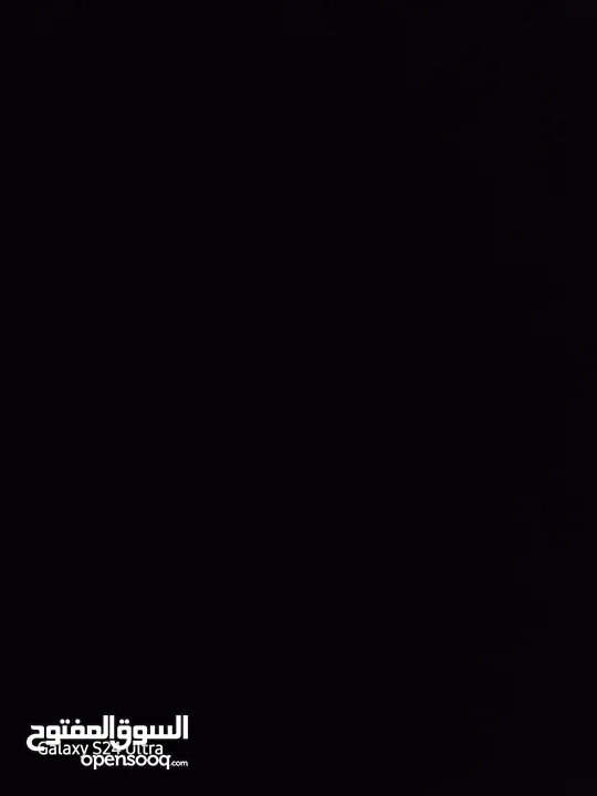بيض طاووس أمريكي و هندي مشكل للبيع الحبه  5