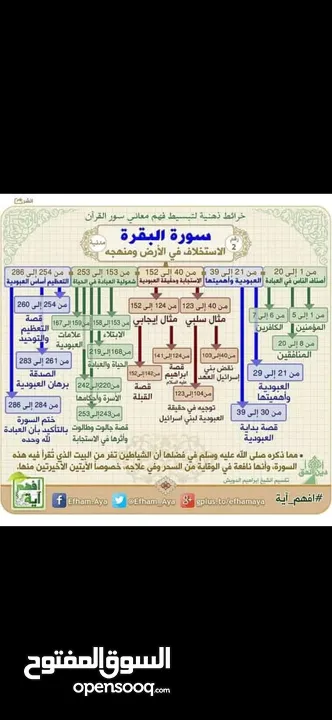 متخصص في التربية الإسلامية واللغة العربية