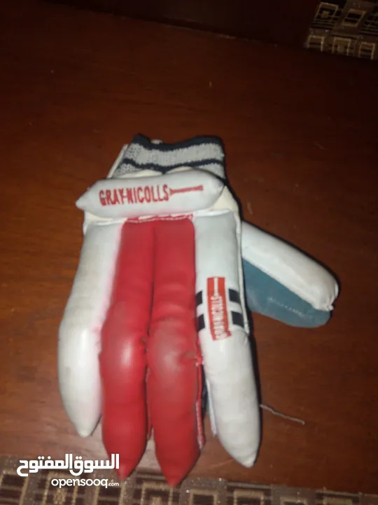cricket batsman gloves of grey nicolls it is a pair
