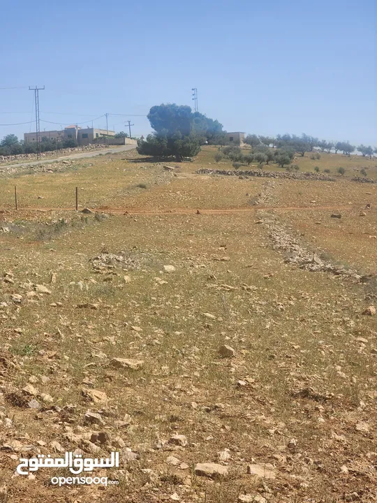 للبيع ارض الدجنية يوجد 3 قطعه