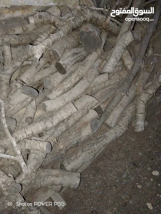 تشكيلة حطب للبيع