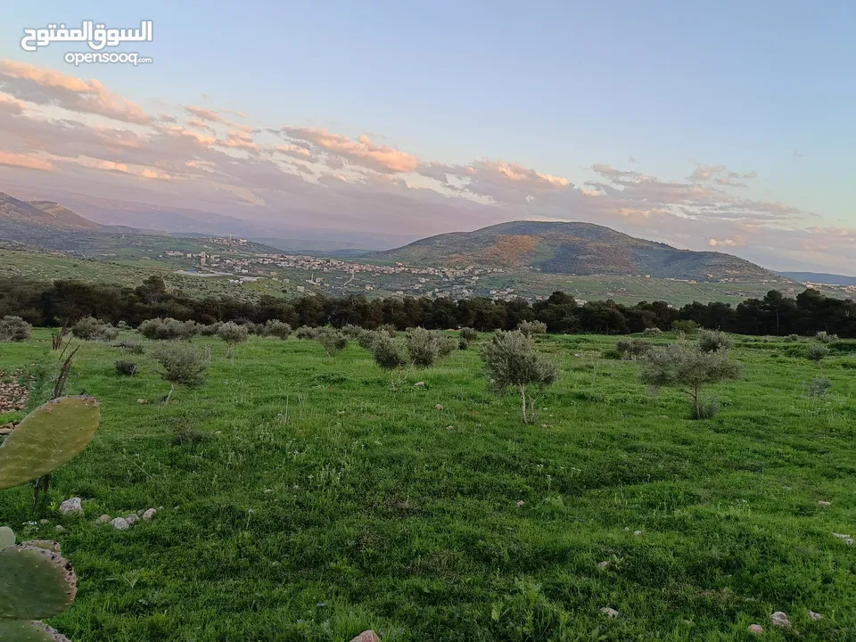 مشروع سلحب الاول