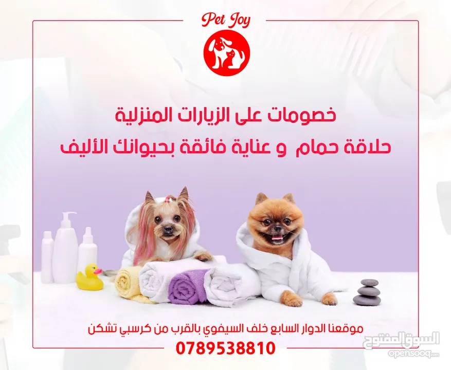 حمام قطط و كلاب خدمة احترافية حمامممم العيددد