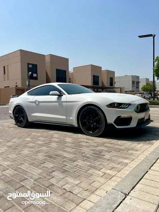 Ford Mustang Eco boost Manual Transmission