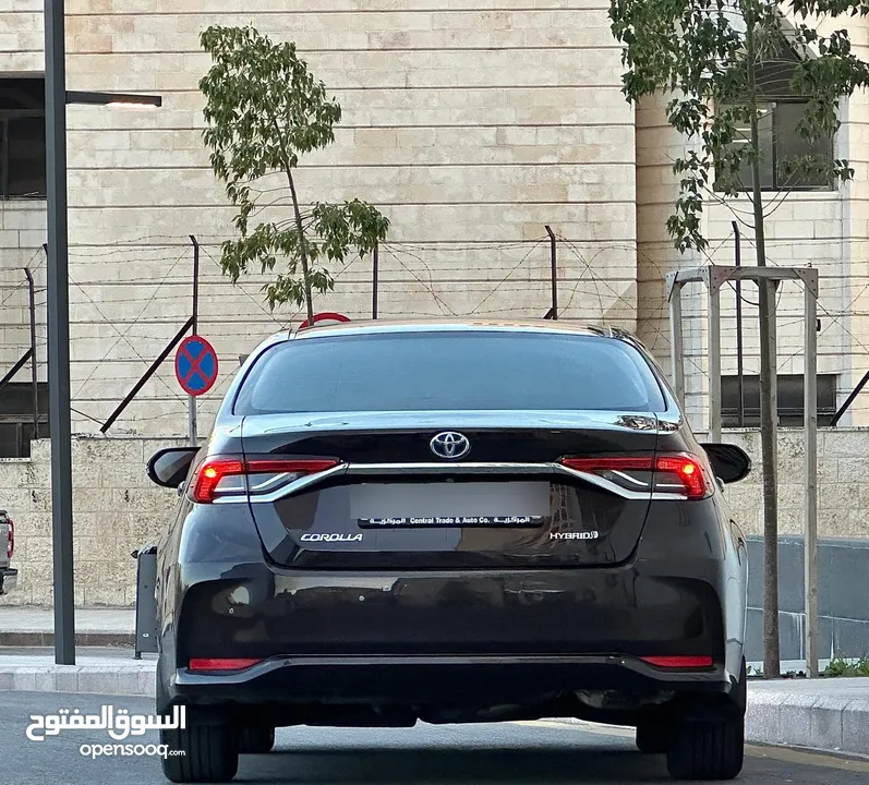كورولا هايبرد 2019 وارد وصيانة وكاله فحص استخدام شخصي