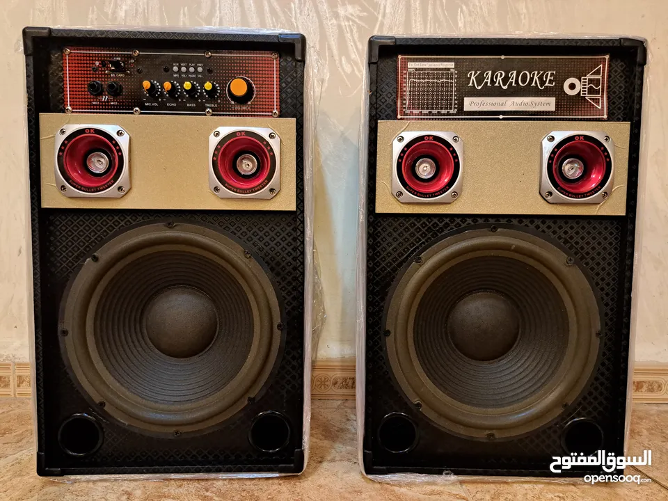 Bluetooth DJ Speakers
