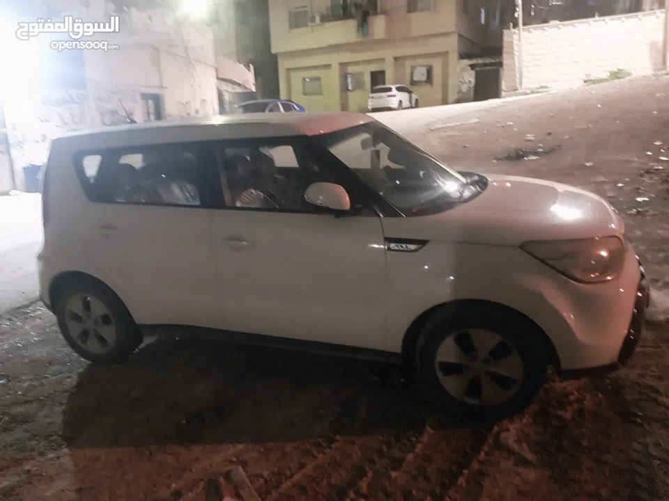 كيا سول نخب