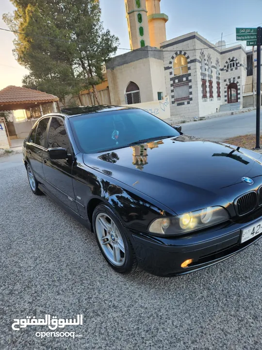 BMW E39 الدب