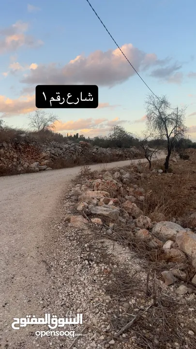 فرصة للبيع: أرض 852م2 في الطيبة – جنين، موقع مرتفع وإطلالة خلابة