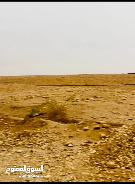 ارض للبيع من المالك مباشرة في بلدة العوجا الهادئة.. مساحة 1600 متر مربع تصنيف أ