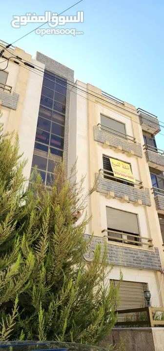 173م في ضاحية رشيد قريب الكلية من المالك  مع مطبخ حديث