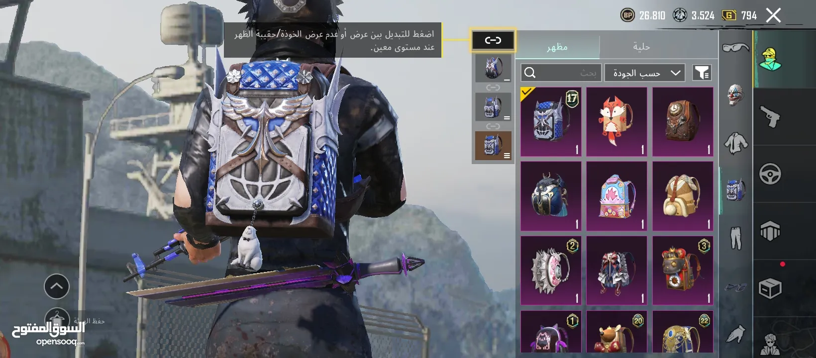 حساب ببجي للبيع بسعر الحرق