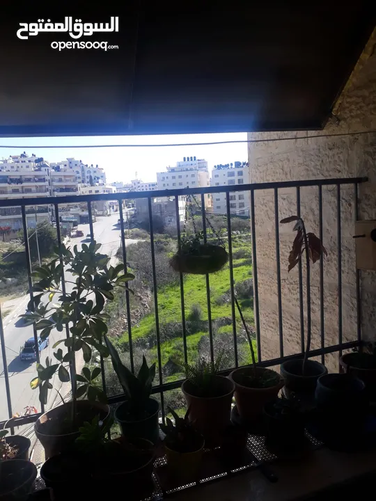 شقه للبيع اول البدل على بيت ريفي