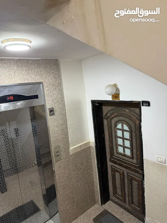 شقة مفروشة في المصيون