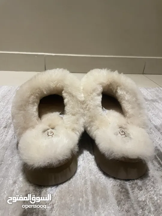 UGG disquette slippers (39, 9)