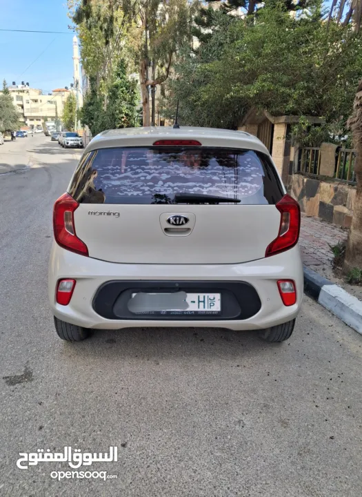 كيا بيكانتو 2019 أوتوماتيك فحص نخب