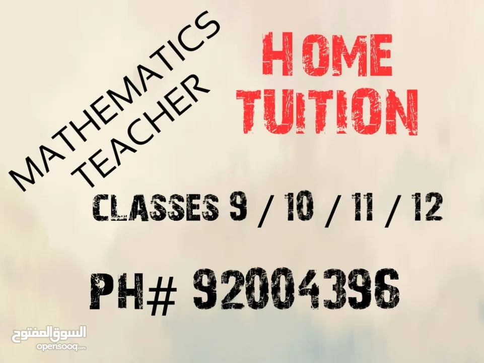 Professional mathematics teacher is doing home lessons