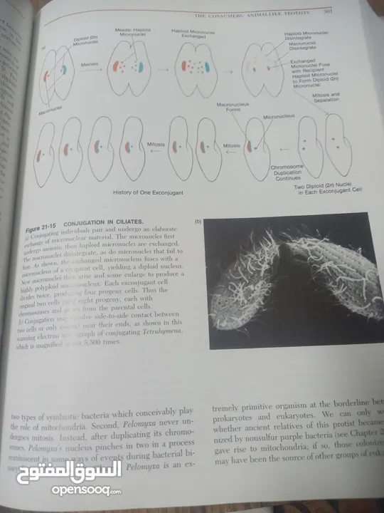 كتاب بعنوان biology