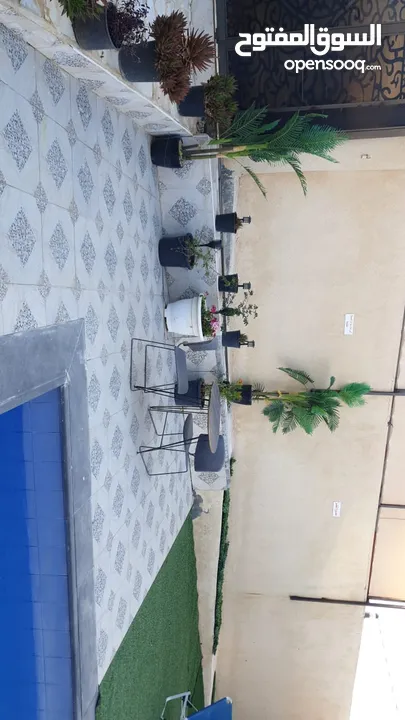مزرعه ليندا ا اجمل مناطق الصبيحي اجار يومي اسبوعي  شهري اهلا وسهلا بالجميع