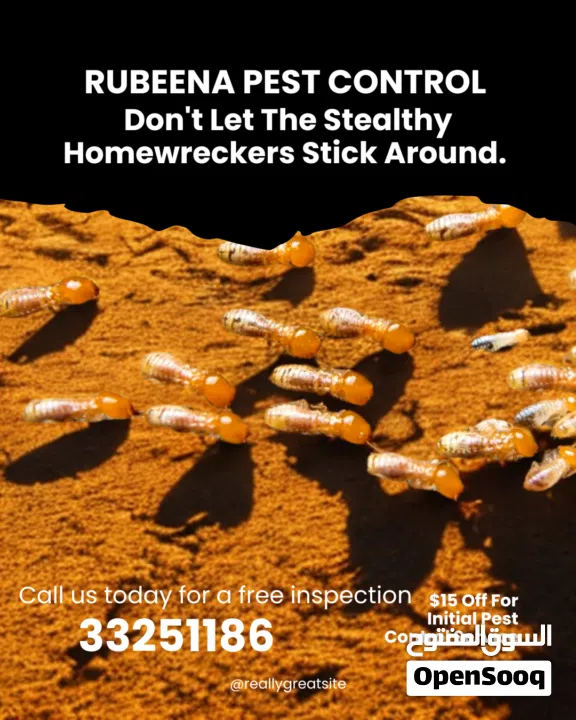 rubeena pest control services big offers just only 17 denar