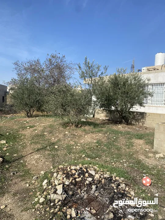 بيت مع الارض جاهز للسكن طابو B سعر مناسب من مالك مباشر  بين أبو نجيم واد  رحال موقع هادي السكن