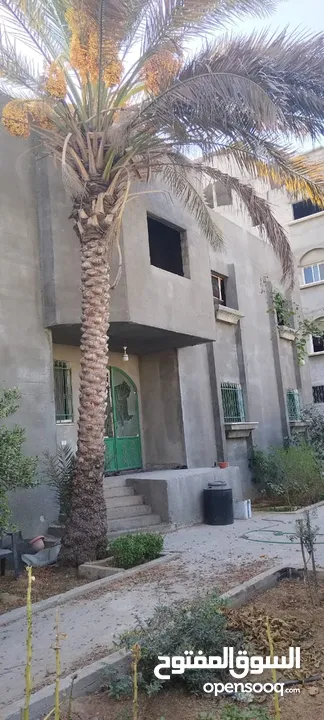 منزل طابقين للإيجار سنوي للمؤسسات الدولية او الحكومية