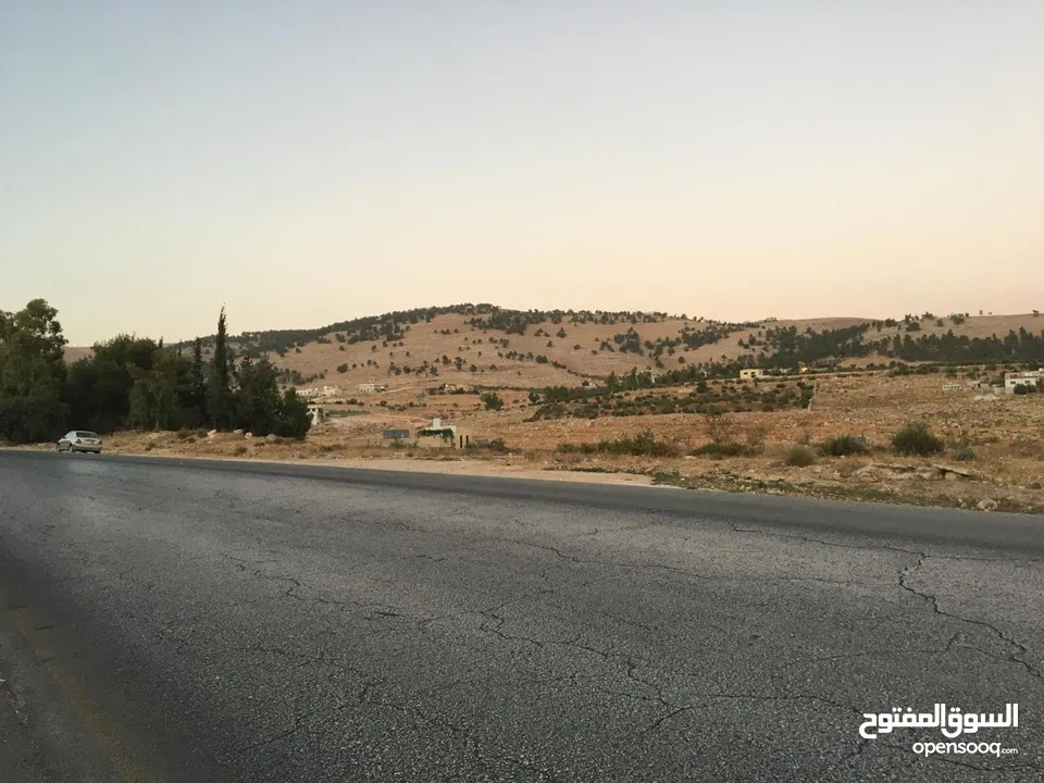 ارض تجاري للبيع في جرش - ref : 22031