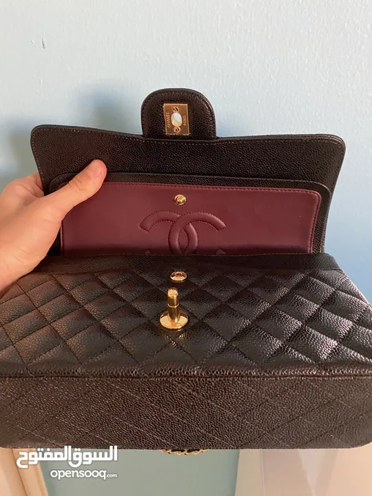 Chanel Classic Double Flap Handbag