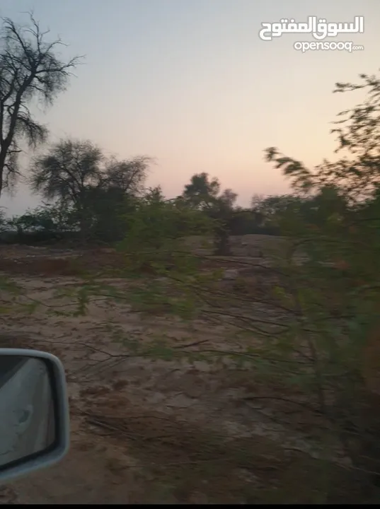 مزرعة للبيع بموقع مميز قريب للخدمات والسعر مناسب