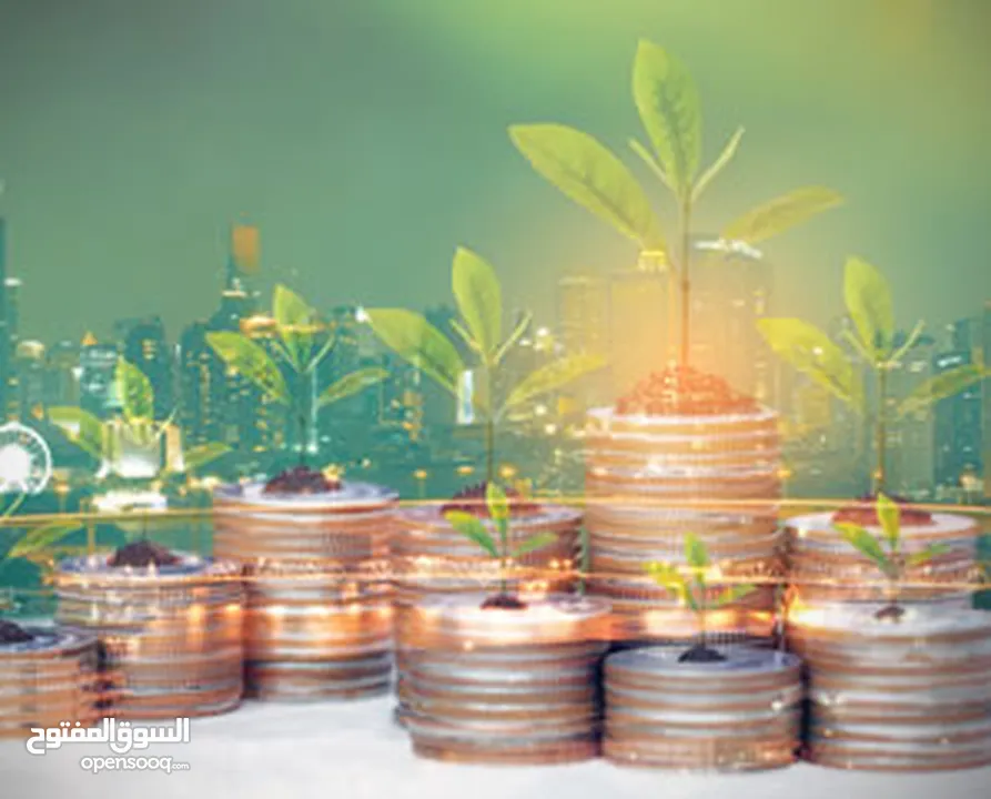 Investment Partnership Funding for Long Term Running Businesses