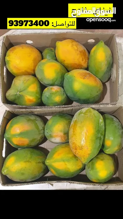 فيفاي طازج من المزرعة (Fresh Papaya)