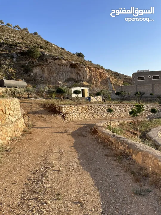 مزرعة في مغاريب السلط من المالك مباشرة