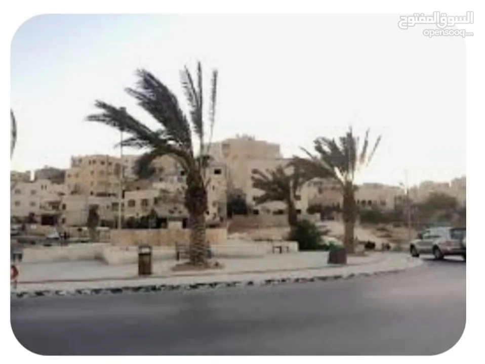 قطعة أرض للبيع – طبربور / حوض أم العقارب