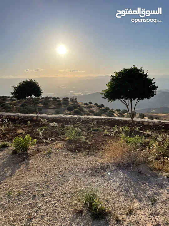مزرعة في مغاريب السلط من المالك مباشرة