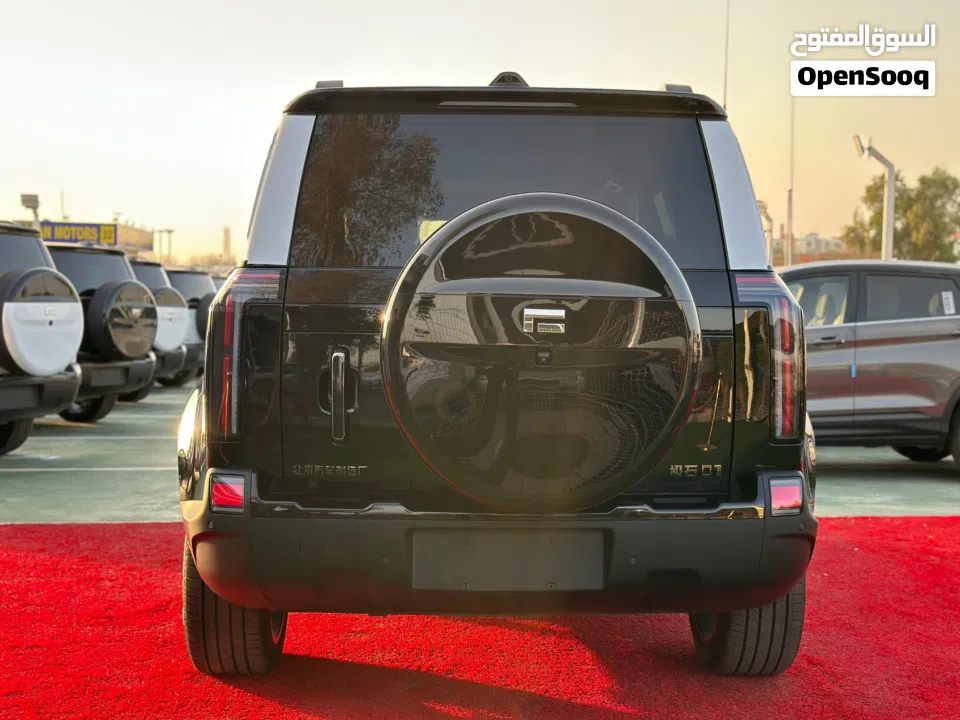 ROX 01 7 SEATERS 2025 LONG RANGE WITH KITCHEN WITH WARRANTY 10Y SERVICE 5Y