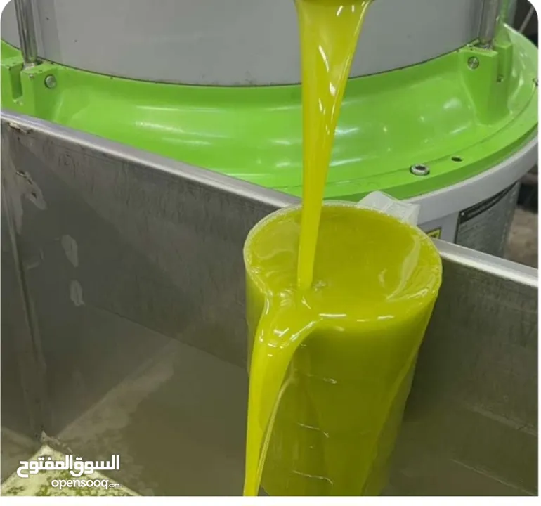 زيت زيتون بعل