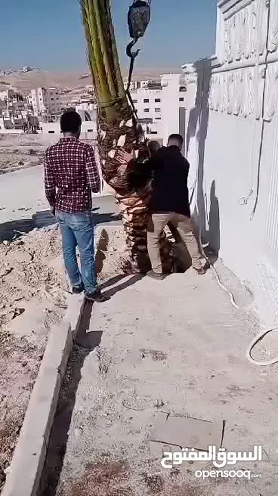 شجرنا انتاجنا