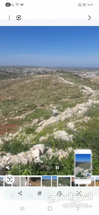 قطعة ارض مميزه للبيع الخليل دورا خلة العقد مساحة الارض 590 متر