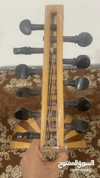 عود نوع الفارس