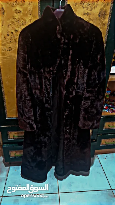جاكيت امريكي للبيع