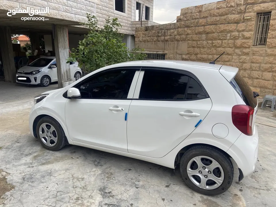 كيا بيكانتو ماتور 1250 / 4 سلندر موديل 2019 فل اتوماتيك