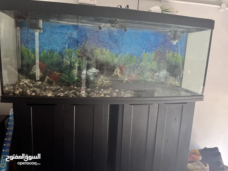 Aquarium for sale